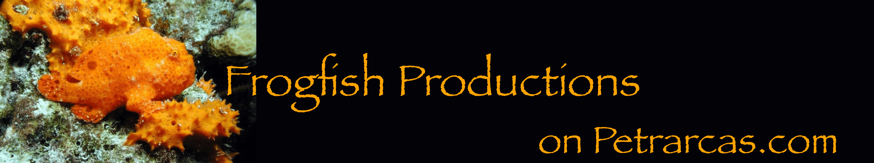 Frogfish Banner