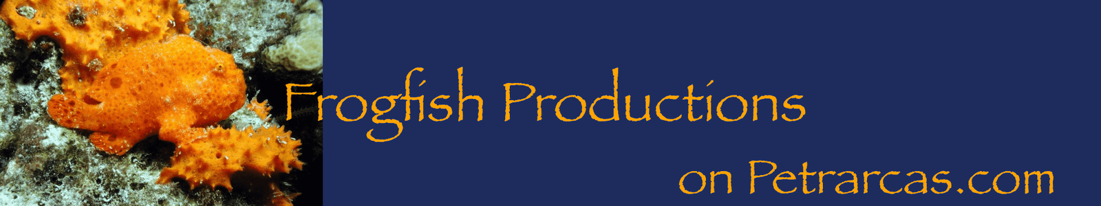 Blue Banner